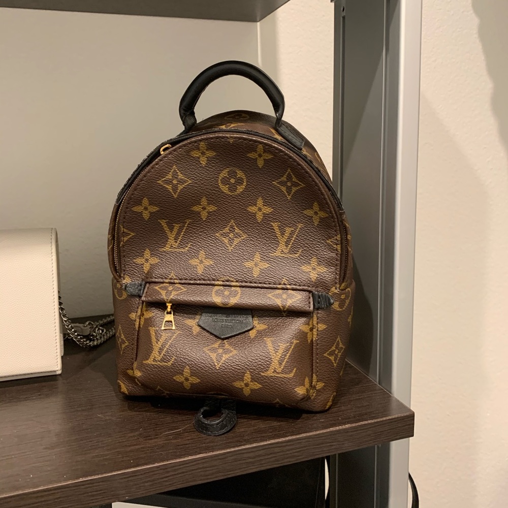 Louis Vuitton Palm Springs Mini